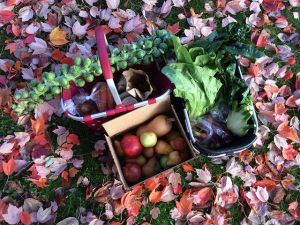 Cropthorne Winter 2014 Week 1